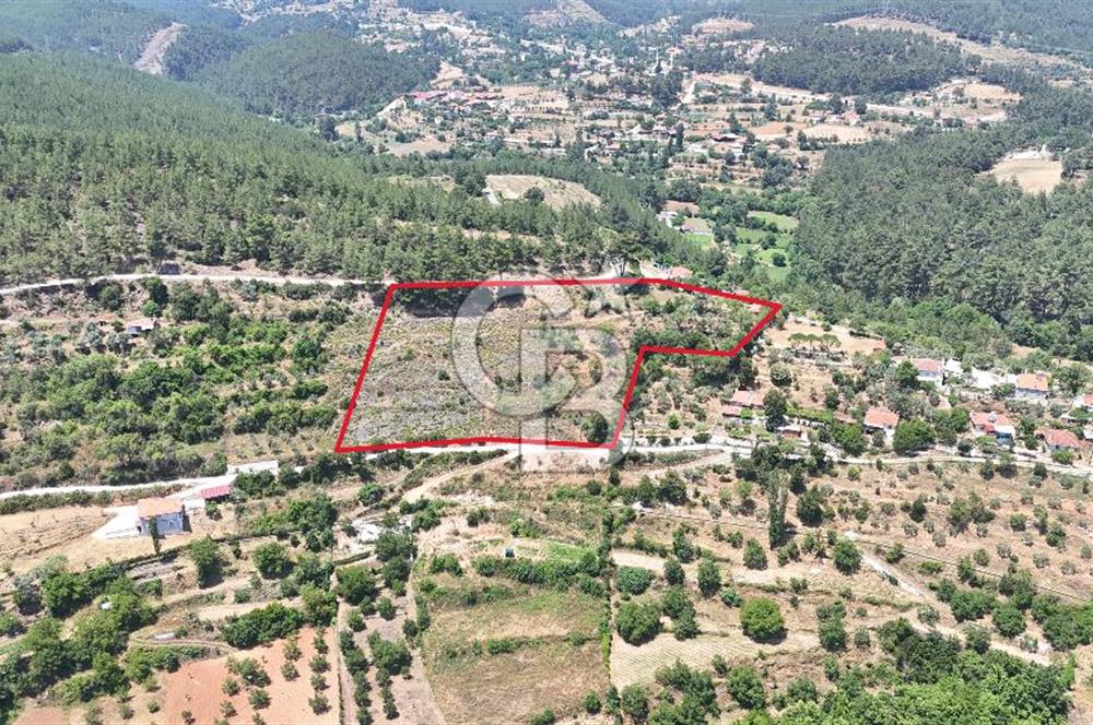 MUĞLA KAVAKLIDERE SALKIMDA 7577 m2 SATILIK EV & TARLA