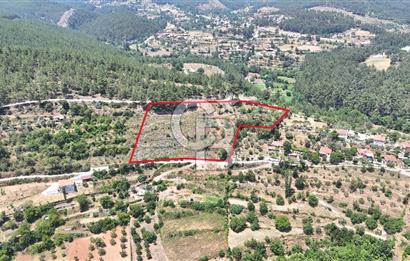 MUĞLA KAVAKLIDERE SALKIMDA 7577 m2 SATILIK EV & TARLA