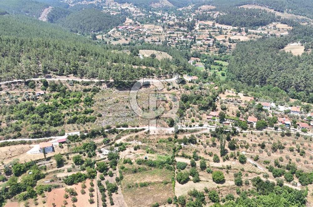 MUĞLA KAVAKLIDERE SALKIMDA 7577 m2 SATILIK EV & TARLA