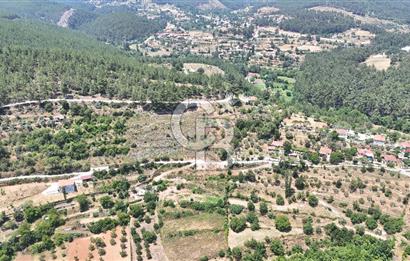 MUĞLA KAVAKLIDERE SALKIMDA 7577 m2 SATILIK EV & TARLA