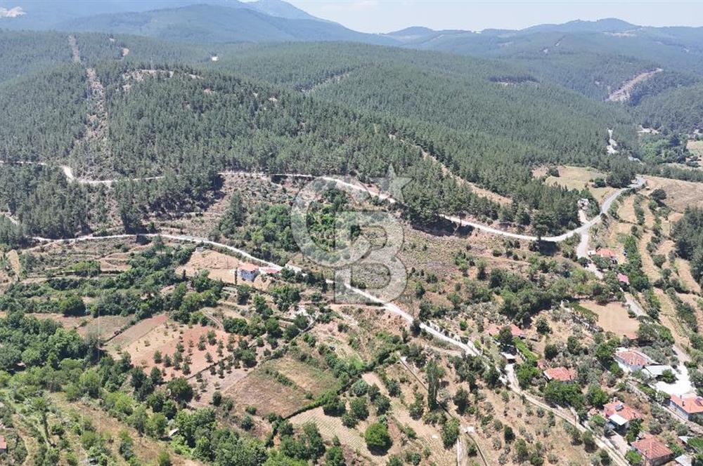 MUĞLA KAVAKLIDERE SALKIMDA 7577 m2 SATILIK EV & TARLA