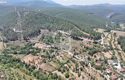 MUĞLA KAVAKLIDERE SALKIMDA 7577 m2 SATILIK EV & TARLA