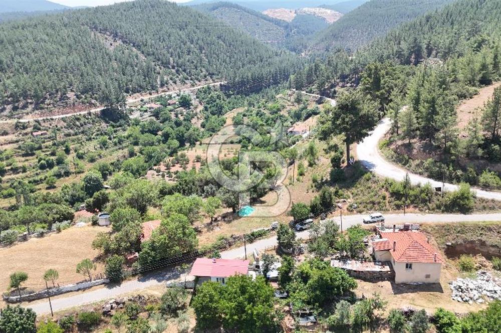 MUĞLA KAVAKLIDERE SALKIMDA 7577 m2 SATILIK EV & TARLA