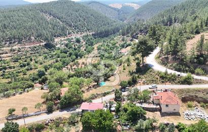 MUĞLA KAVAKLIDERE SALKIMDA 7577 m2 SATILIK EV & TARLA