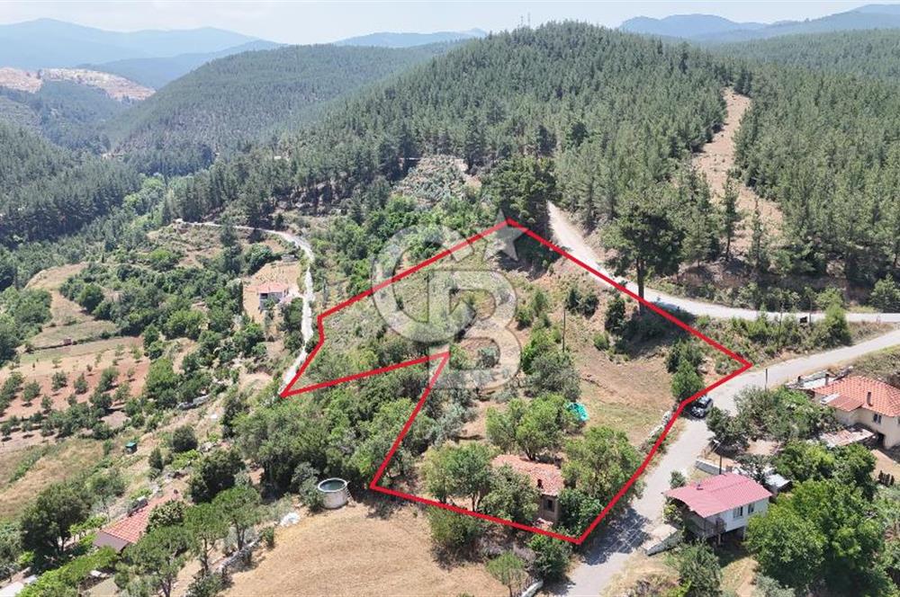 MUĞLA KAVAKLIDERE SALKIMDA 7577 m2 SATILIK EV & TARLA