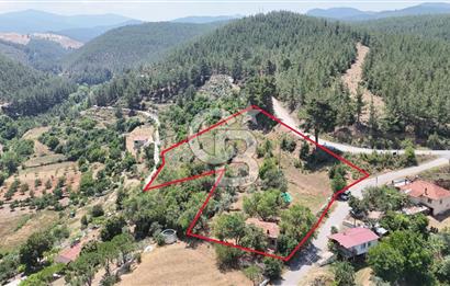 MUĞLA KAVAKLIDERE SALKIMDA 7577 m2 SATILIK EV & TARLA