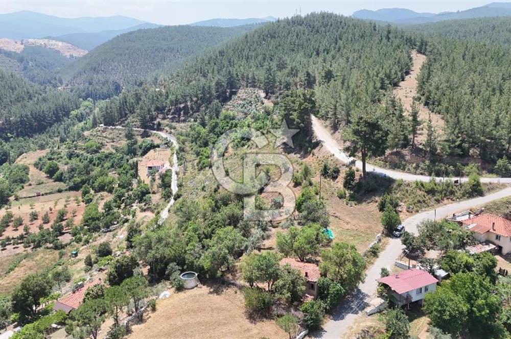 MUĞLA KAVAKLIDERE SALKIMDA 7577 m2 SATILIK EV & TARLA