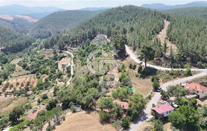 MUĞLA KAVAKLIDERE SALKIMDA 7577 m2 SATILIK EV & TARLA