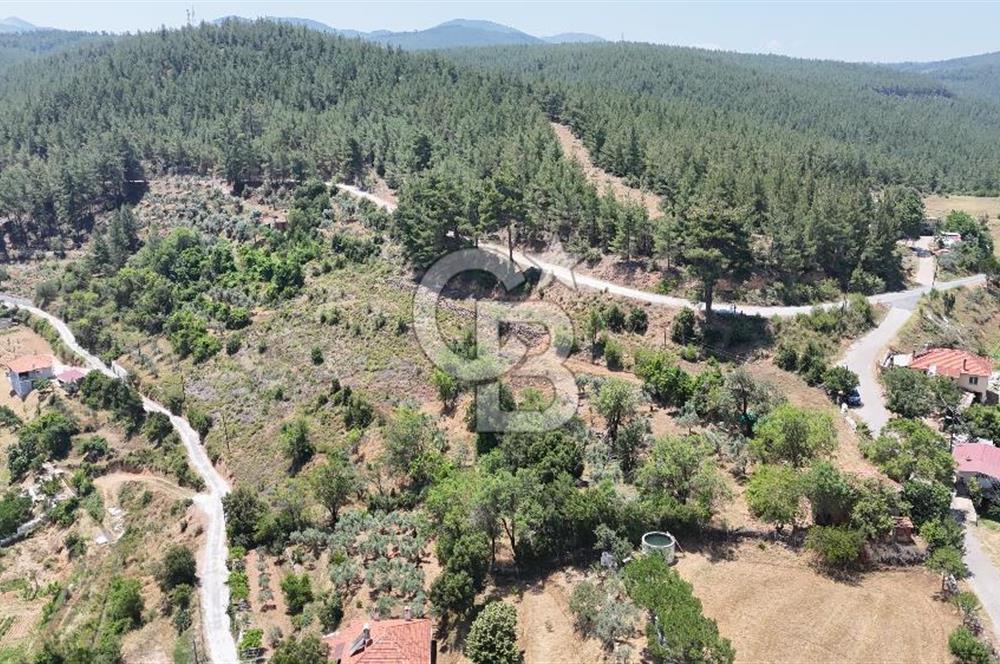 MUĞLA KAVAKLIDERE SALKIMDA 7577 m2 SATILIK EV & TARLA