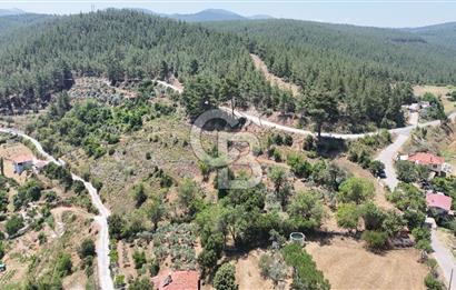 MUĞLA KAVAKLIDERE SALKIMDA 7577 m2 SATILIK EV & TARLA