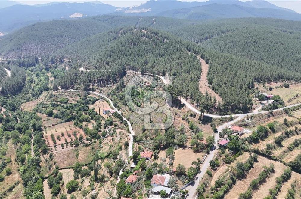 MUĞLA KAVAKLIDERE SALKIMDA 7577 m2 SATILIK EV & TARLA