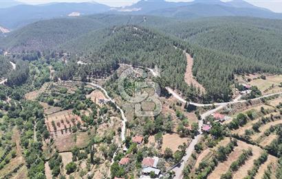 MUĞLA KAVAKLIDERE SALKIMDA 7577 m2 SATILIK EV & TARLA