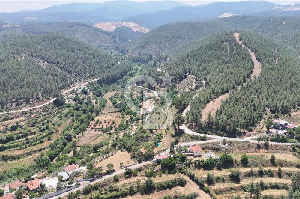 MUĞLA KAVAKLIDERE SALKIMDA 7577 m2 SATILIK EV & TARLA