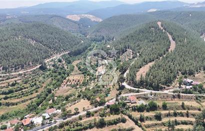 MUĞLA KAVAKLIDERE SALKIMDA 7577 m2 SATILIK EV & TARLA
