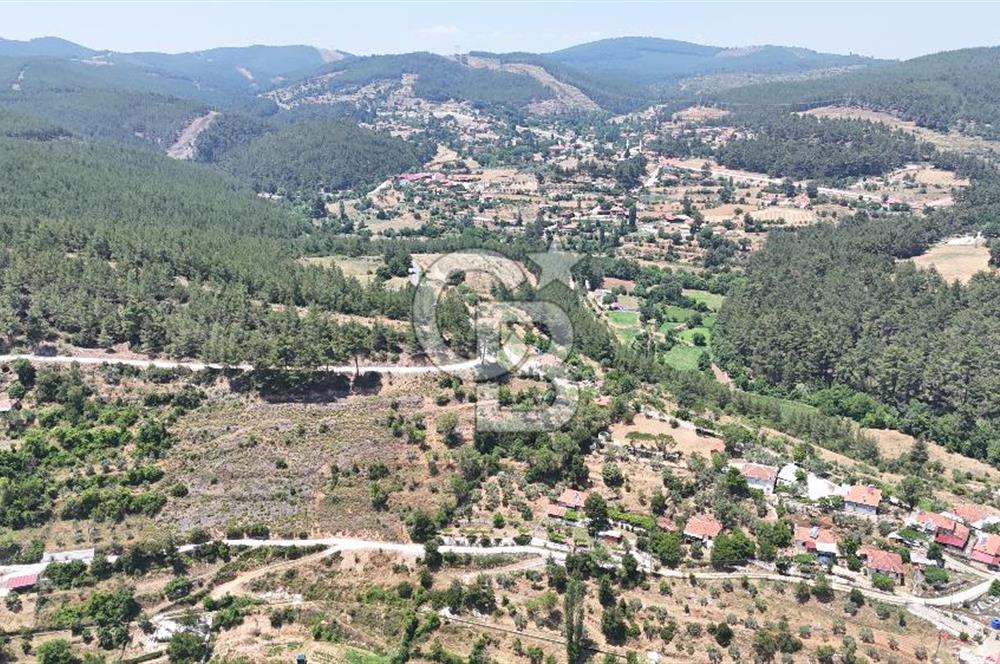 MUĞLA KAVAKLIDERE SALKIMDA 7577 m2 SATILIK EV & TARLA