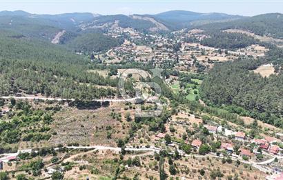 MUĞLA KAVAKLIDERE SALKIMDA 7577 m2 SATILIK EV & TARLA