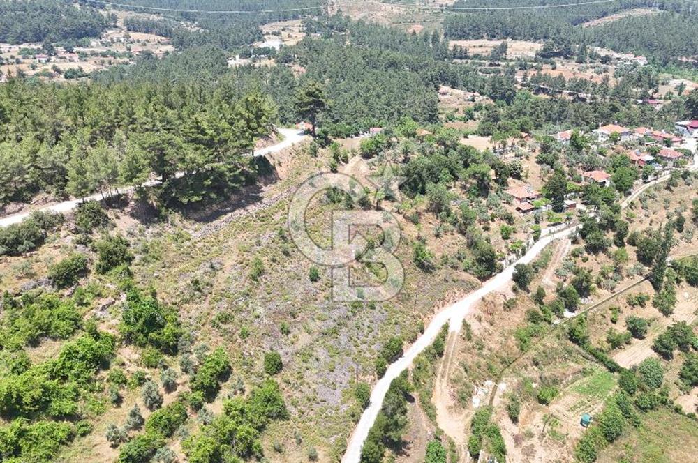 MUĞLA KAVAKLIDERE SALKIMDA 7577 m2 SATILIK EV & TARLA