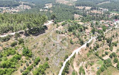 MUĞLA KAVAKLIDERE SALKIMDA 7577 m2 SATILIK EV & TARLA