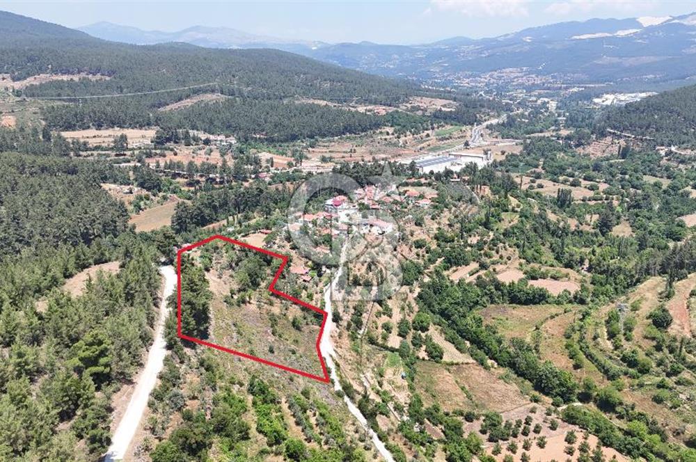MUĞLA KAVAKLIDERE SALKIMDA 7577 m2 SATILIK EV & TARLA
