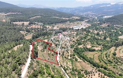 MUĞLA KAVAKLIDERE SALKIMDA 7577 m2 SATILIK EV & TARLA