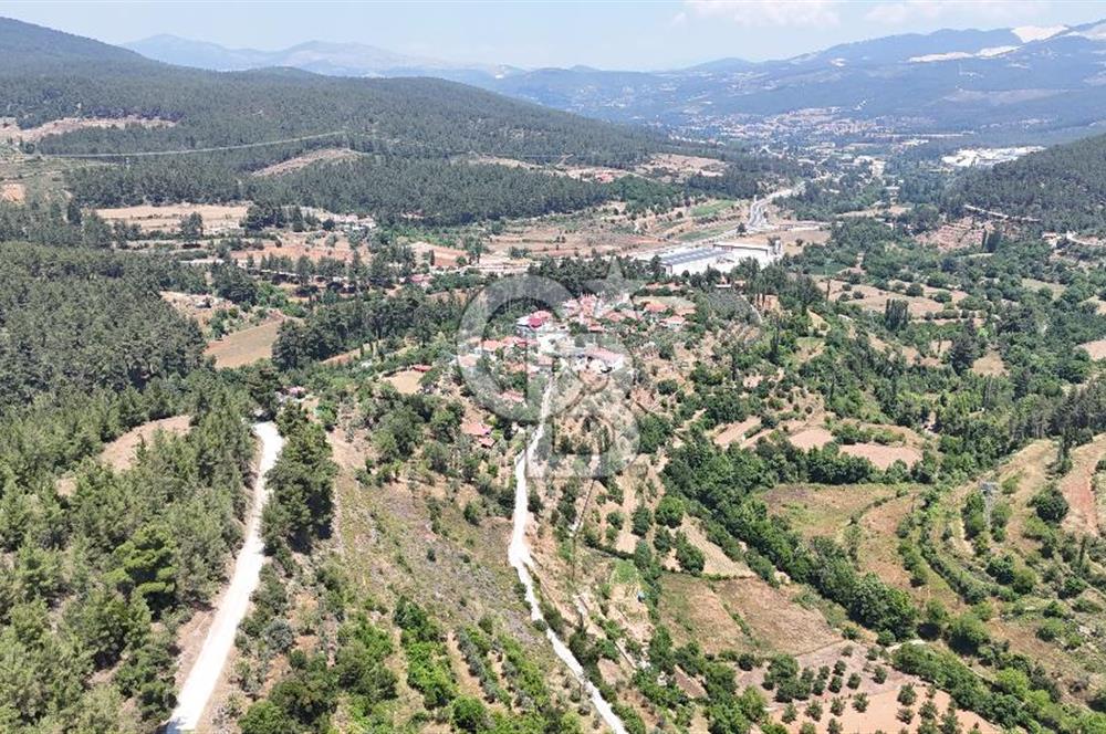 MUĞLA KAVAKLIDERE SALKIMDA 7577 m2 SATILIK EV & TARLA
