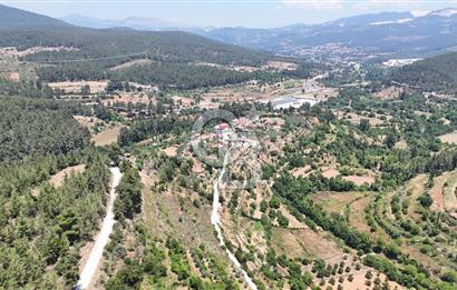 MUĞLA KAVAKLIDERE SALKIMDA 7577 m2 SATILIK EV & TARLA