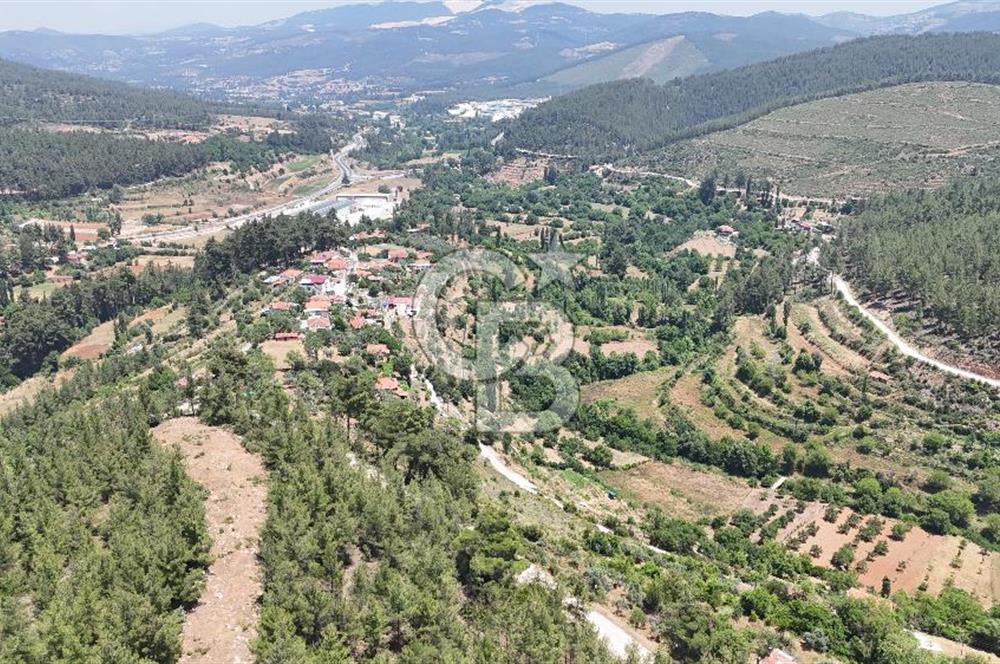 MUĞLA KAVAKLIDERE SALKIMDA 7577 m2 SATILIK EV & TARLA