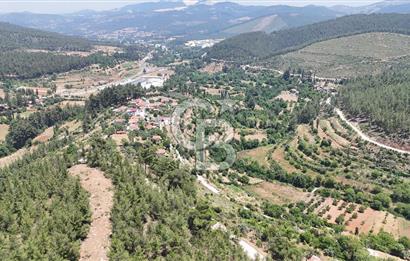 MUĞLA KAVAKLIDERE SALKIMDA 7577 m2 SATILIK EV & TARLA