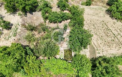MUĞLA KAVAKLIDERE SALKIM KÖYÜNDE 13.225 m2 SATILIK CEVİZ BAHÇESİ