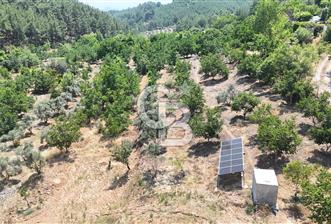 MUĞLA KAVAKLIDERE SALKIM KÖYÜNDE 13.225 m2 SATILIK CEVİZ BAHÇESİ - 1 - 363991