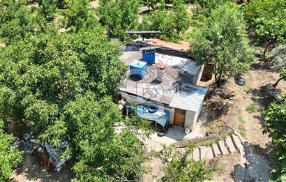MUĞLA KAVAKLIDERE SALKIM KÖYÜNDE 13.225 m2 SATILIK CEVİZ BAHÇESİ