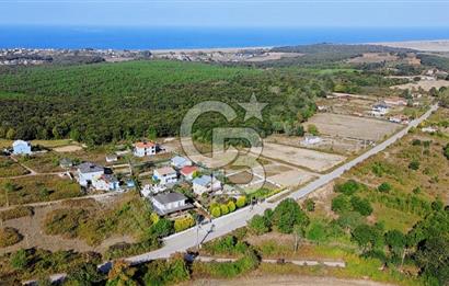 KANDIRA BABALIDA SATILIK CADDE ÜZERİ 2.700m2 ARAZİ