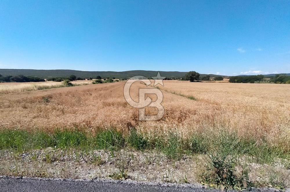 ANA ASFALTA SIFIR | KUPON PARSEL | TOPLAM 2.889 m²