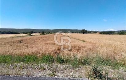 ANA ASFALTA SIFIR | KUPON PARSEL | TOPLAM 2.889 m²