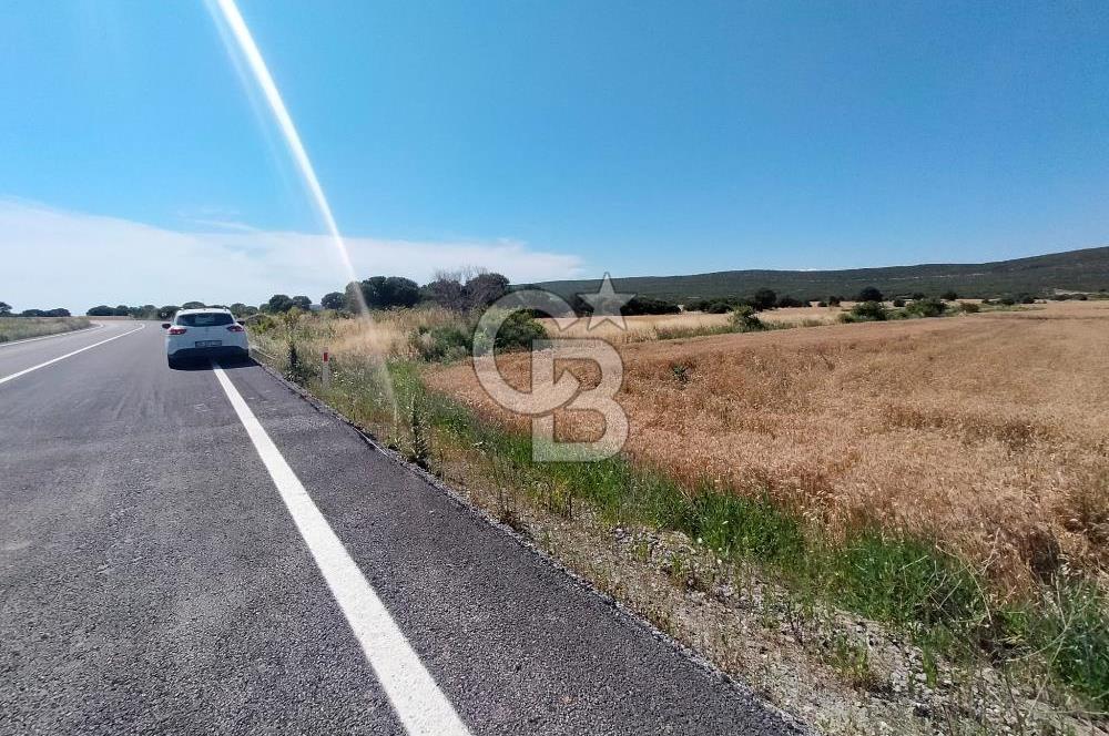 ANA ASFALTA SIFIR | KUPON PARSEL | TOPLAM 2.889 m²
