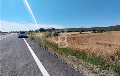 ANA ASFALTA SIFIR | KUPON PARSEL | TOPLAM 2.889 m²