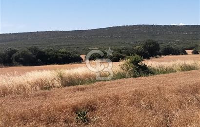 ANA ASFALTA SIFIR | KUPON PARSEL | TOPLAM 2.889 m²