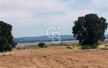 ANA ASFALTA SIFIR | KUPON PARSEL | TOPLAM 2.889 m²