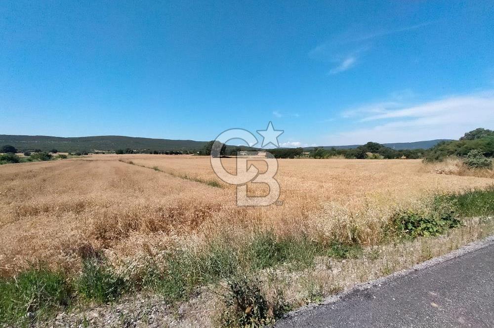 ANA ASFALTA SIFIR | KUPON PARSEL | TOPLAM 2.889 m²