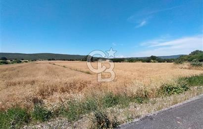 ANA ASFALTA SIFIR | KUPON PARSEL | TOPLAM 2.889 m²