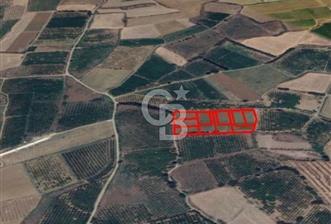 Aydınköy'de Kaçırılmayacak Konumda Satılık Fırsat Arsa - 2 - 364012