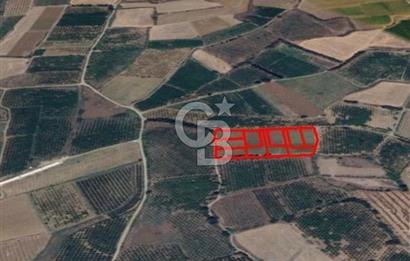Aydınköy'de Kaçırılmayacak Konumda Satılık Fırsat Arsa