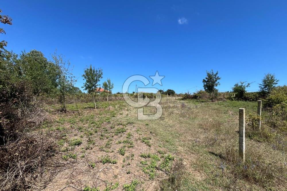 KANDIRA BABALIDA SATILIK CADDE ÜZERİ 2.700m2 ARAZİ