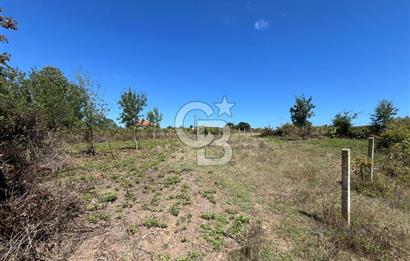KANDIRA BABALIDA SATILIK CADDE ÜZERİ 2.700m2 ARAZİ