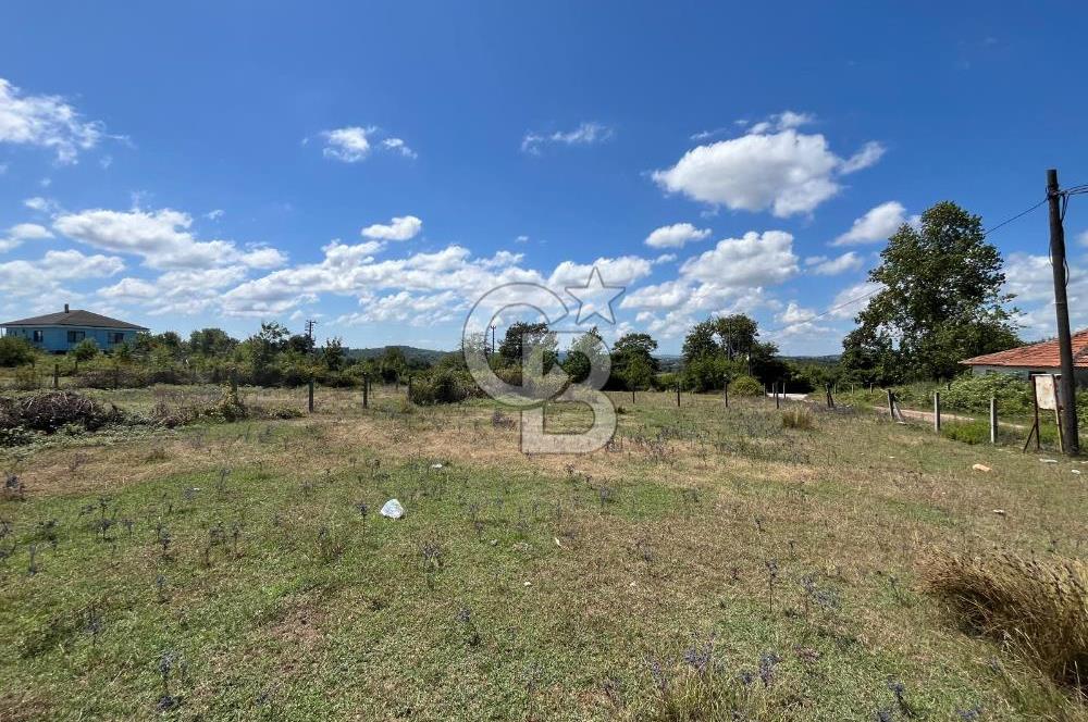 KANDIRA BABALIDA SATILIK CADDE ÜZERİ 2.700m2 ARAZİ