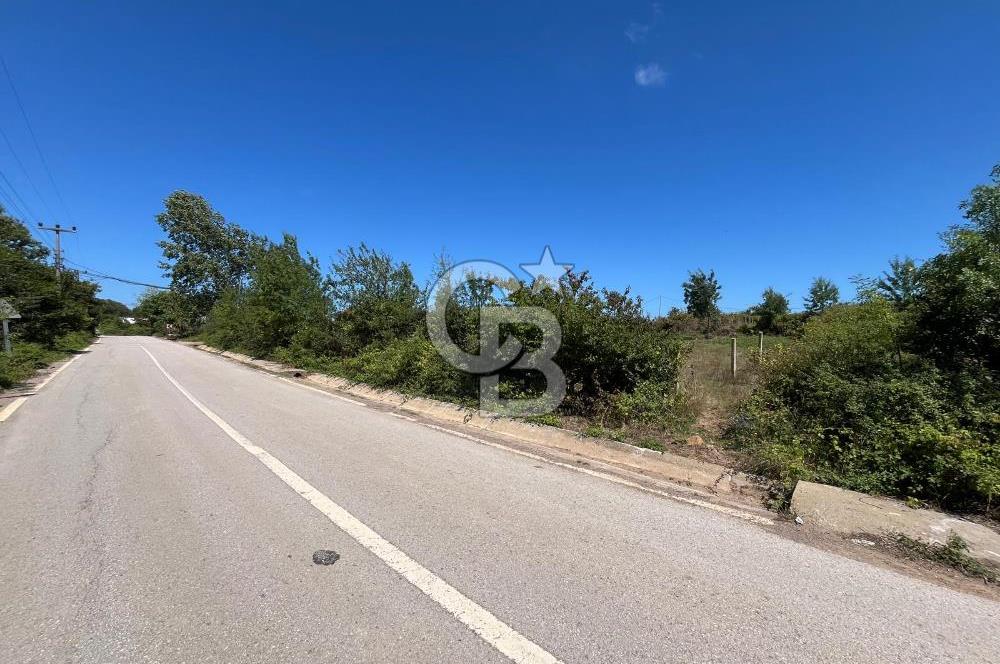 KANDIRA BABALIDA SATILIK CADDE ÜZERİ 2.700m2 ARAZİ