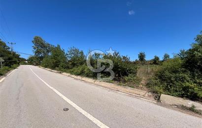 KANDIRA BABALIDA SATILIK CADDE ÜZERİ 2.700m2 ARAZİ