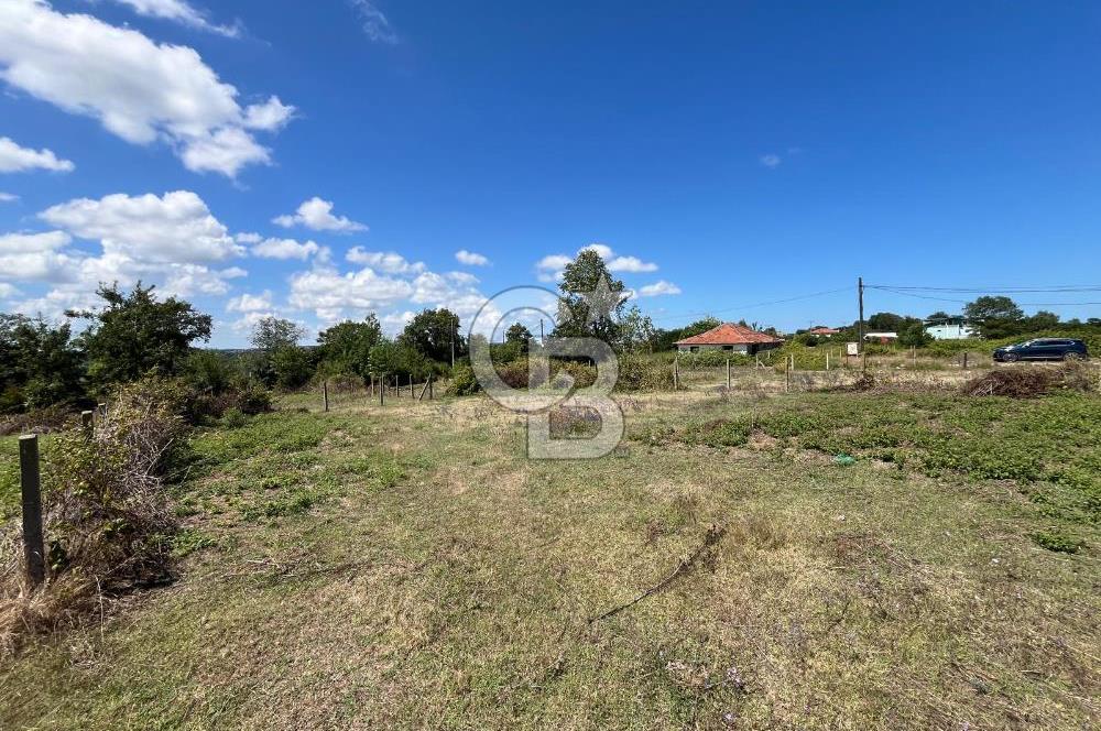 KANDIRA BABALIDA SATILIK CADDE ÜZERİ 2.700m2 ARAZİ
