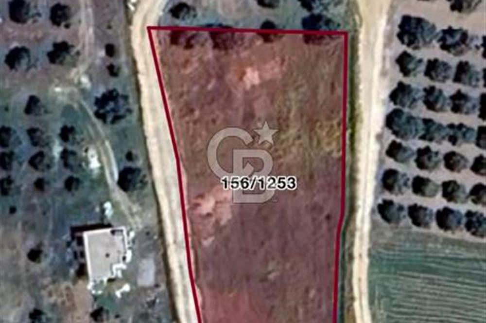 MİLAS ÖREN 'DE VİLLA İMARLI 2332 M2 PROJEYE HAZIR YOLU AÇIK ARSA