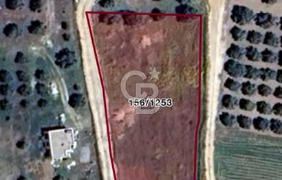 MİLAS ÖREN 'DE VİLLA İMARLI 2332 M2 PROJEYE HAZIR YOLU AÇIK ARSA